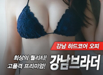 오피스타 | [강남오피-강남브라더]