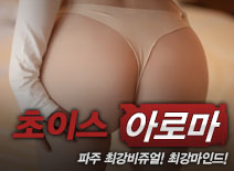 오피스타 | [파주건마-초이스]