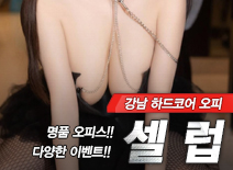 오피스타 | [강남오피-셀럽]