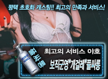 오피스타 | [보직군영*개걸레*풀싸롱-야호]