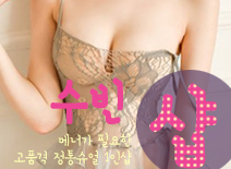 오피스타 | [일산건마-수빈1인샵]