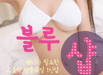 오피스타 | [분당건마-블루1인샵]