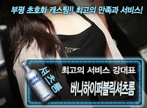 오피스타 | [버니하이퍼블릭셔츠룸-강대표]
