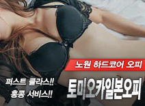 오피스타 | [노원오피-토미오카일본오피]