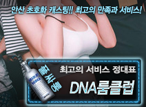오피스타 | [DNA룸클럽-정대표]
